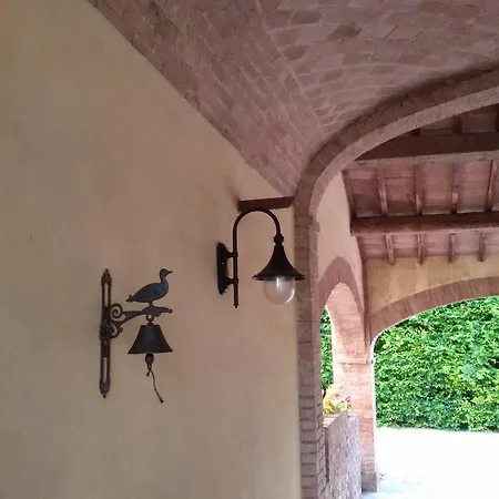 Moletolo 169